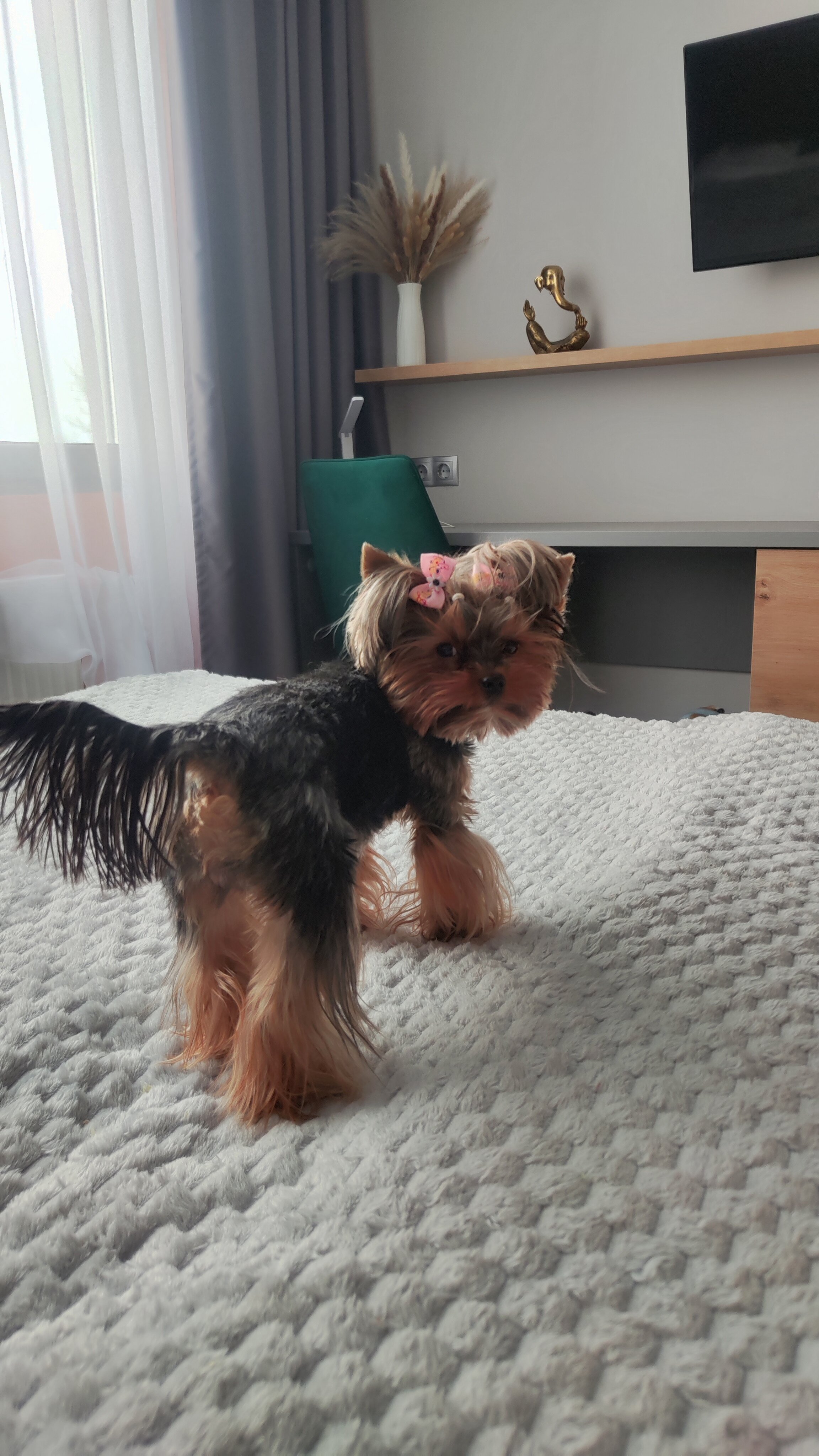 Фото Putilov Avenir