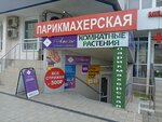 Territory Massage (Dzerzhinskogo Avenue, 219А), massage salon