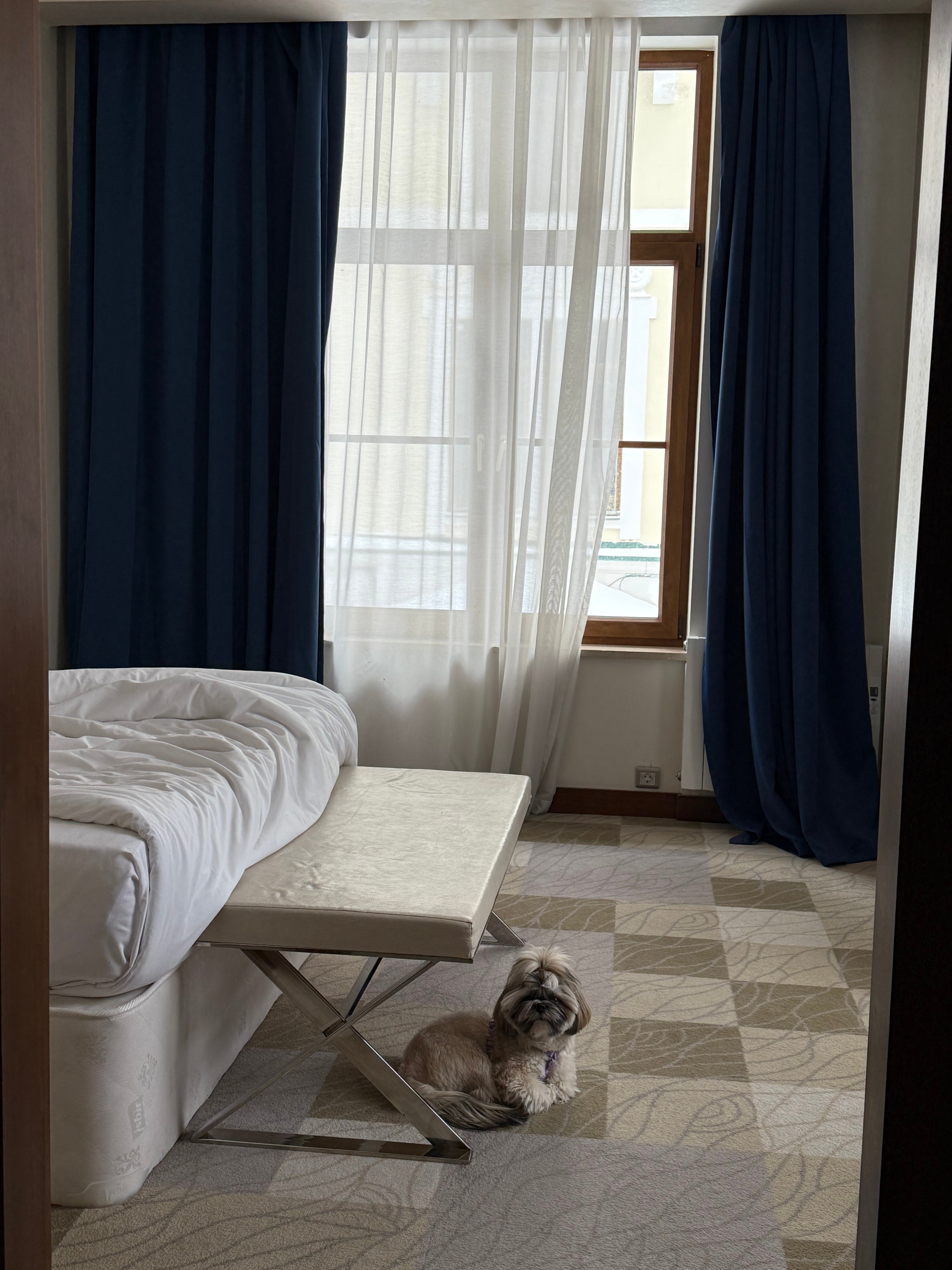 Фото Новотель Фит Красная Поляна