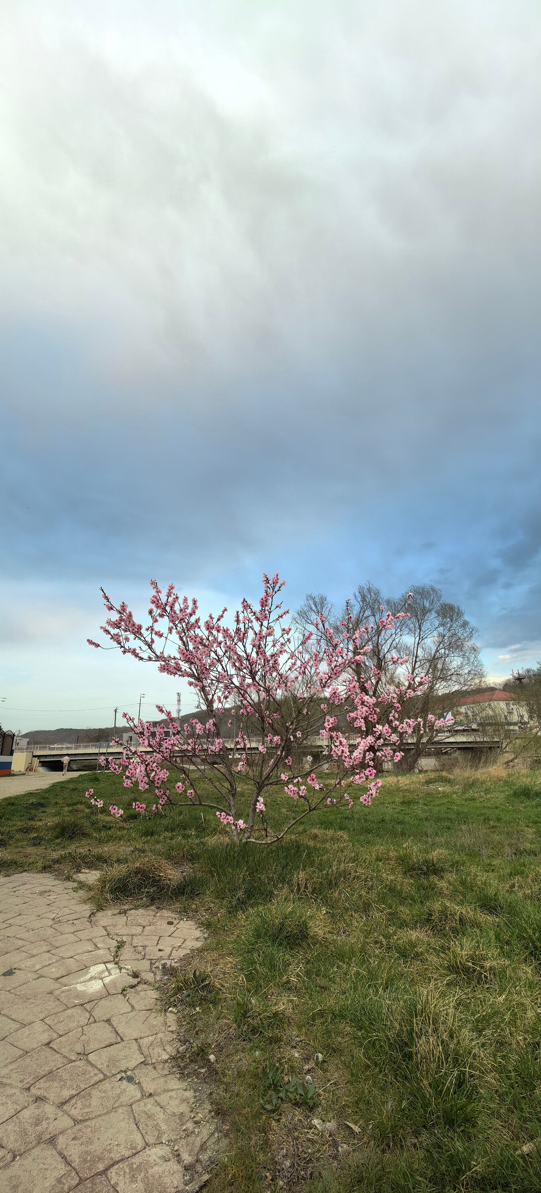 Фото Дом с бассейном