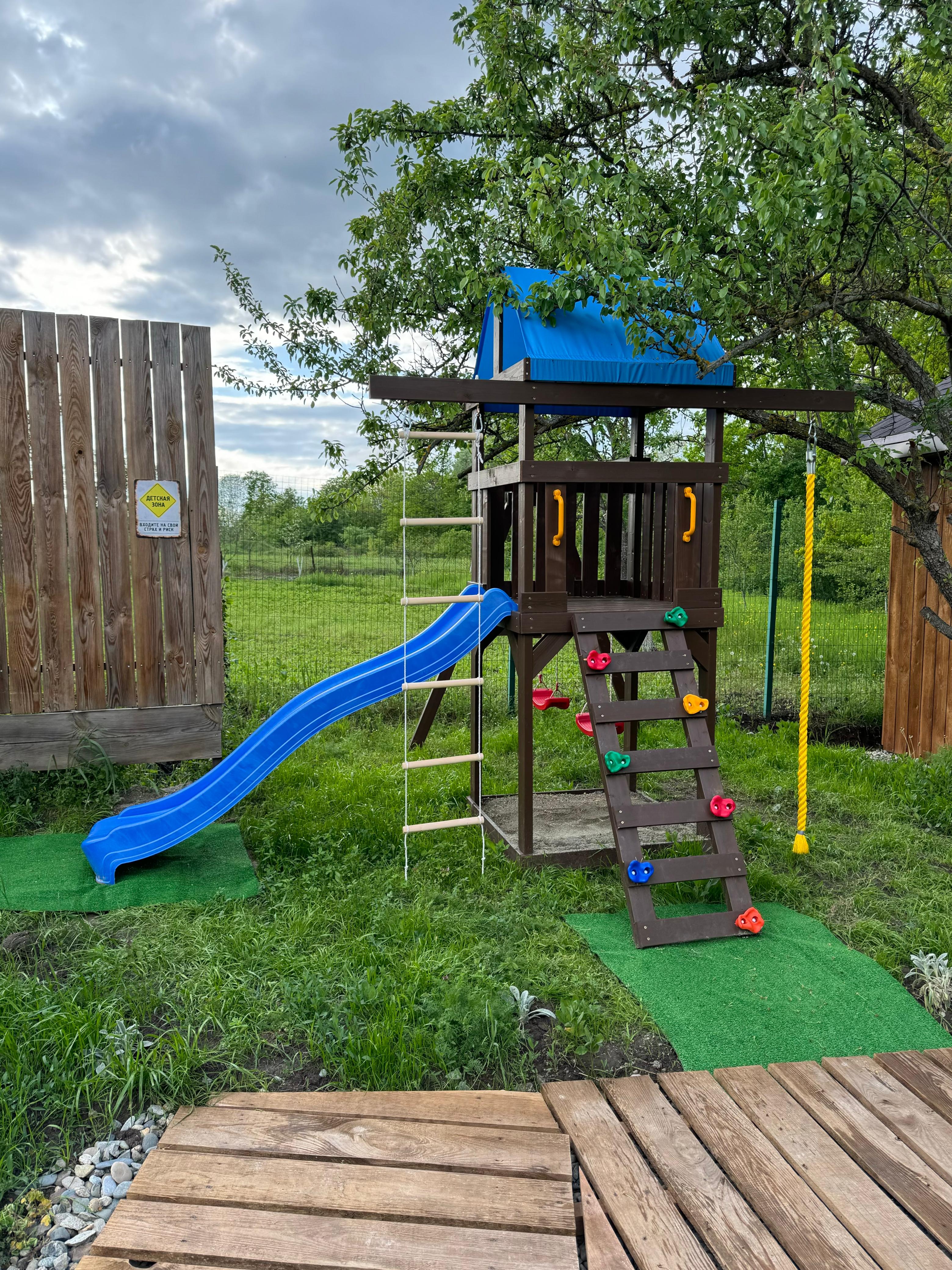 Фото Стрижи