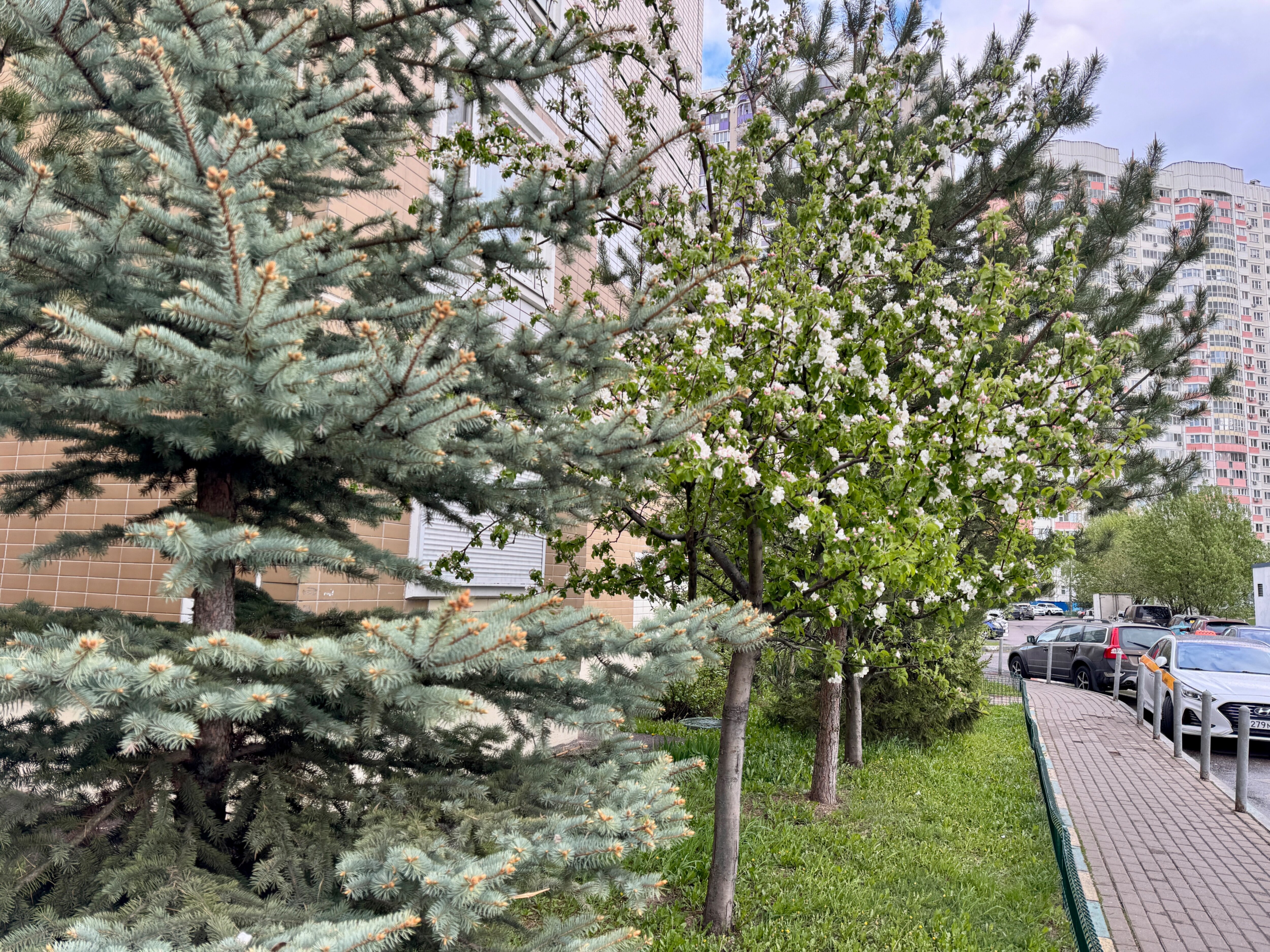 Фото Comfort & Relax Home на проспекте Мельникова 27