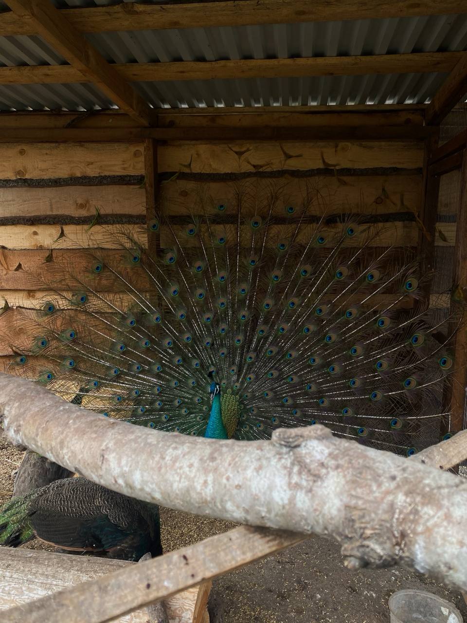 Фото Лунная Долина