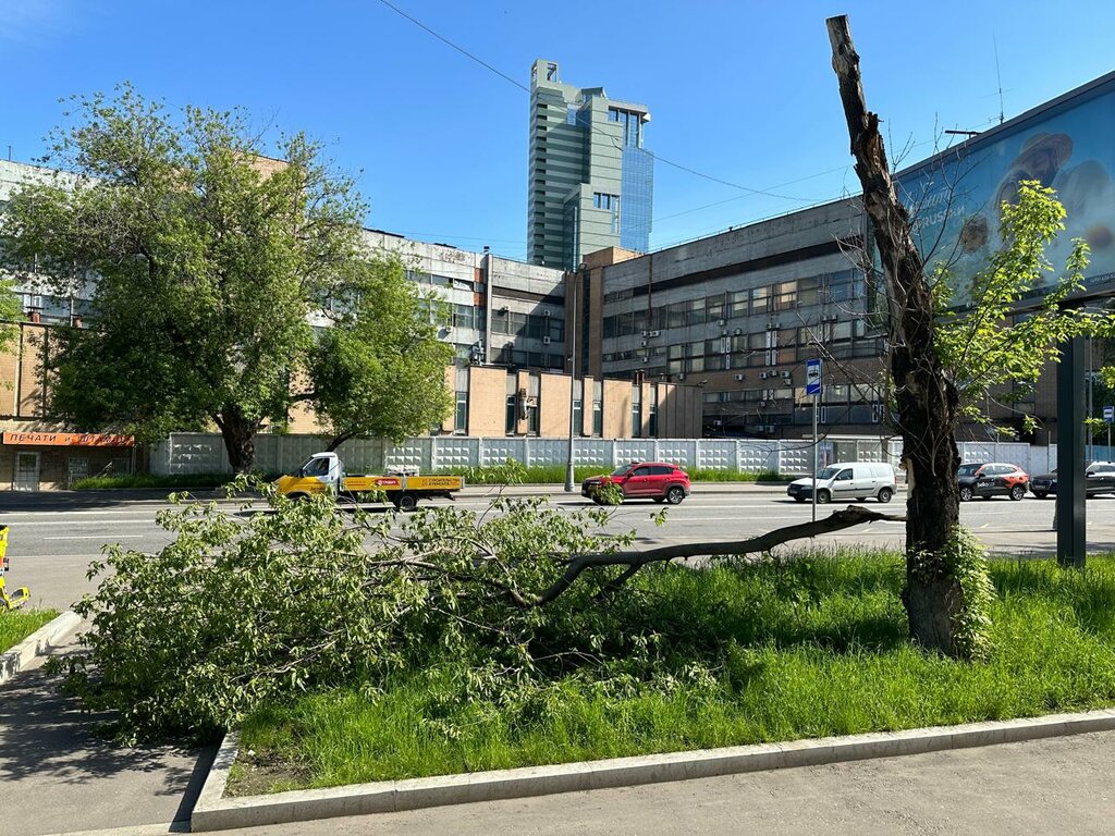 Embellecimiento urbano Gbu Avtomobilnyye dorogi Vao, , foto