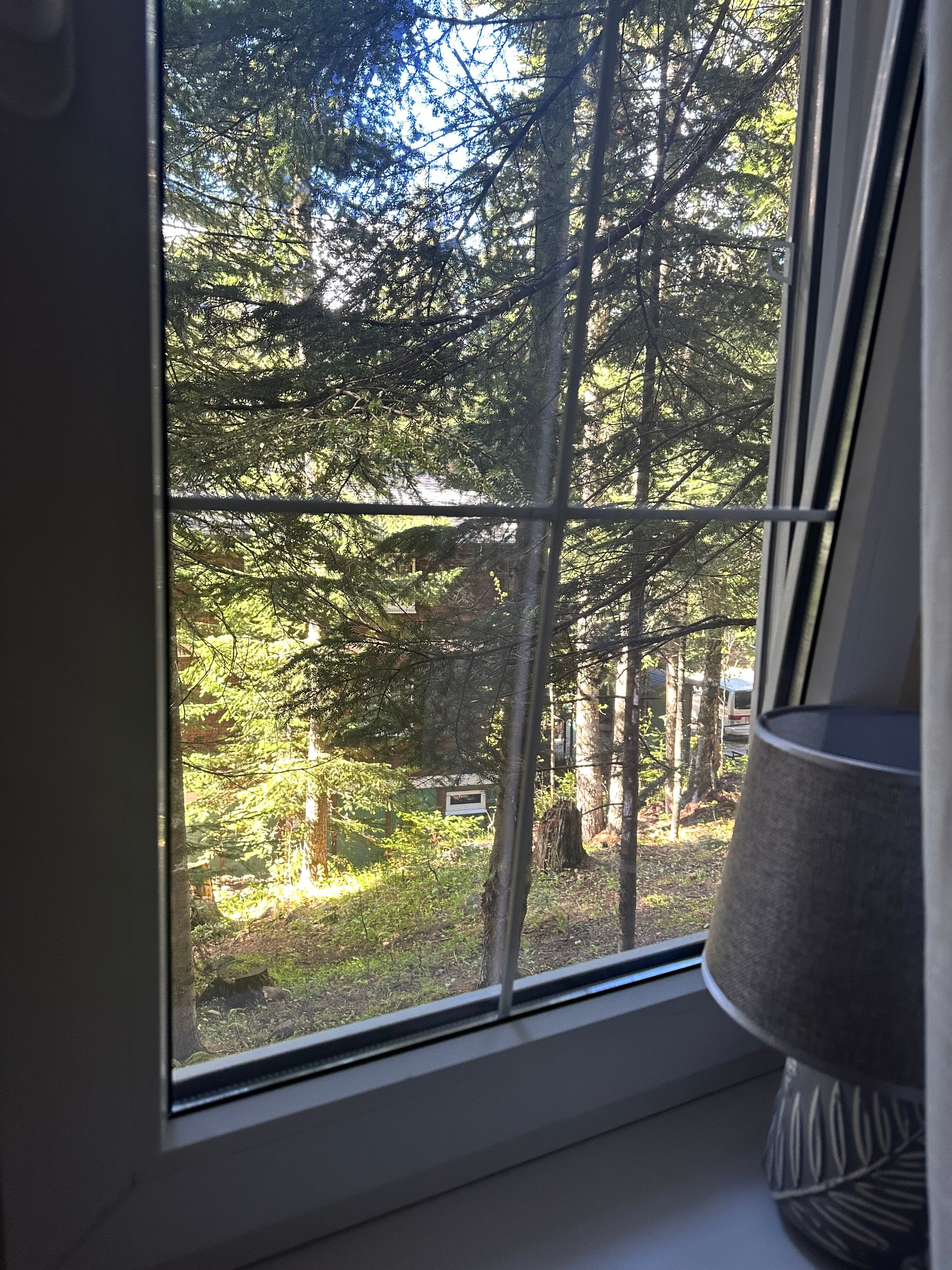 Фото Шале Валландри