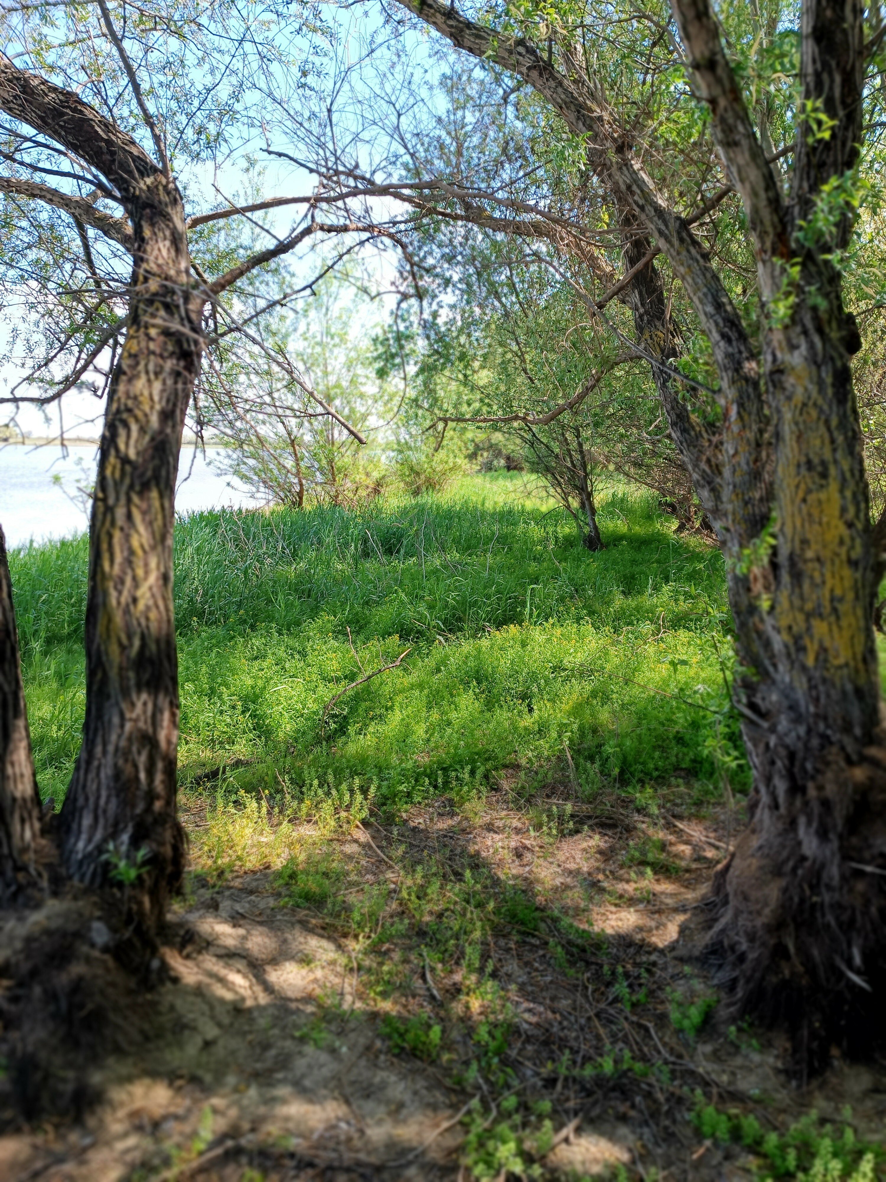 Фото Рыбалкино