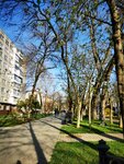 Gagarin boulevard (Gagarina Street, 75/5), park