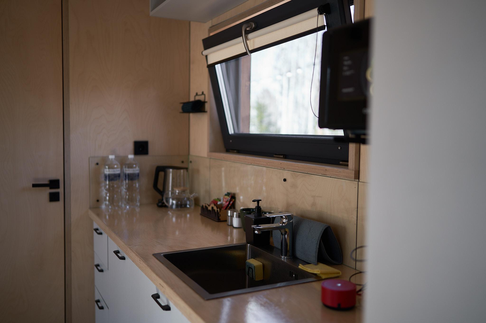 Фото Снежные Гуси