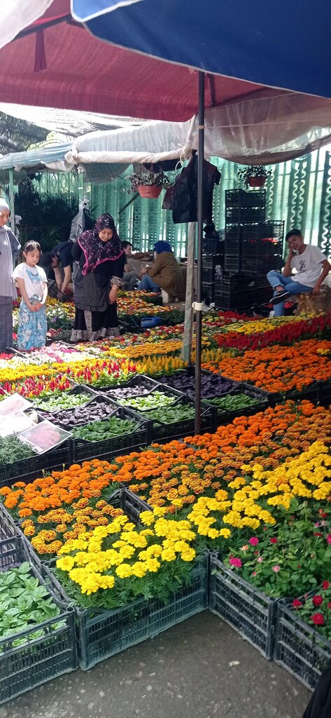 Information website Eski Juva Dehkan Bazaar, Tashkent, photo