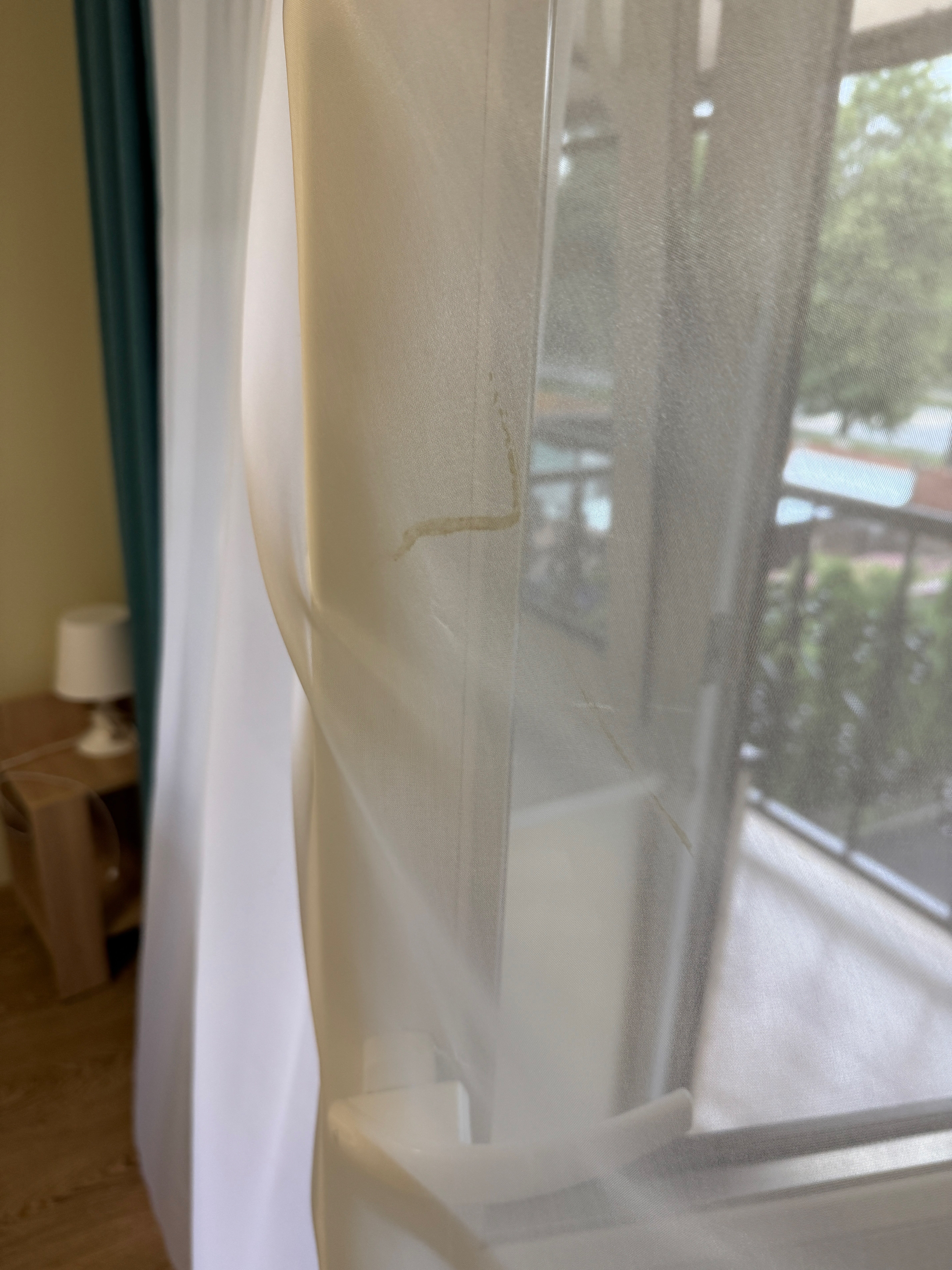 Фото Парацельс