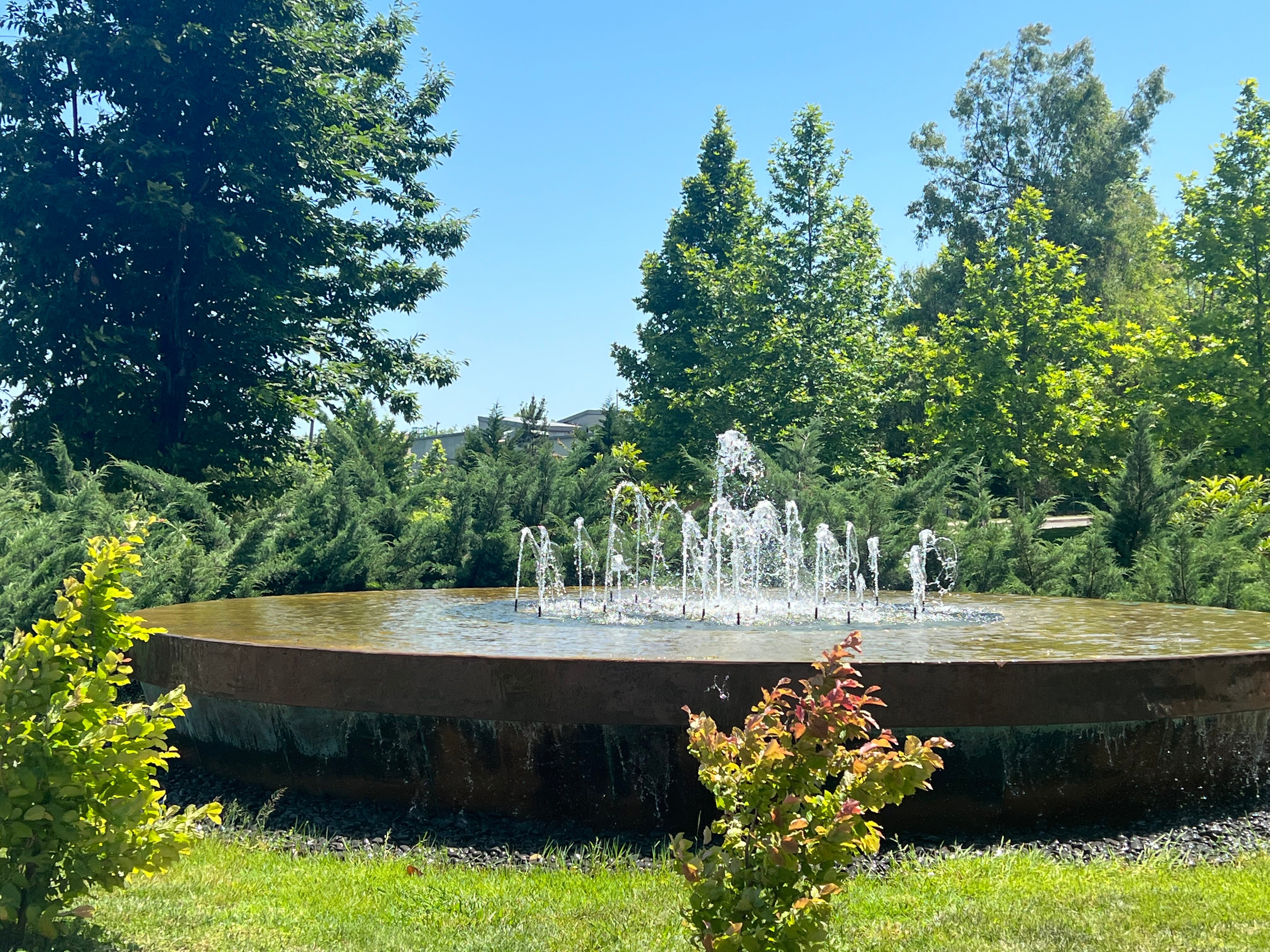 Фото Lankaran Springs Wellness Resort