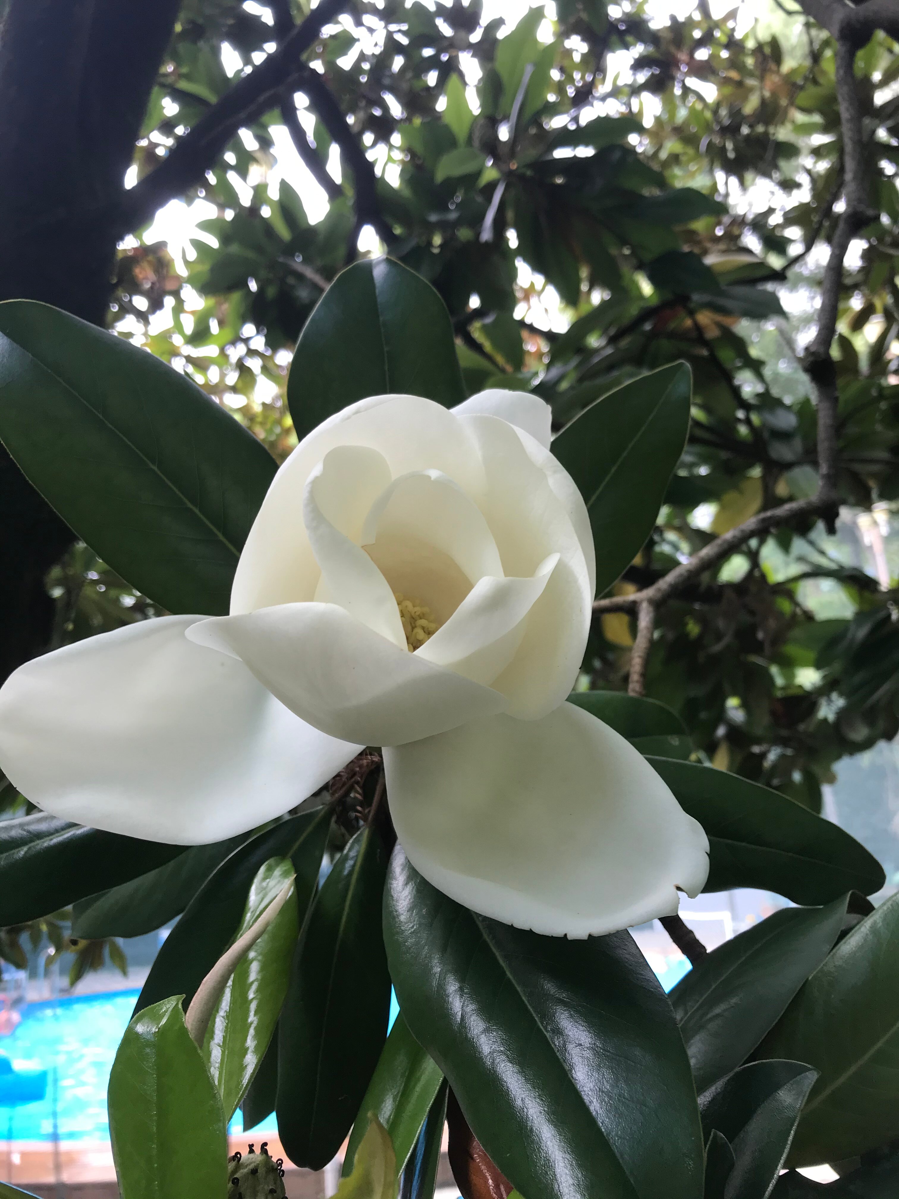 Фото WellNess Park Hotel Gagra