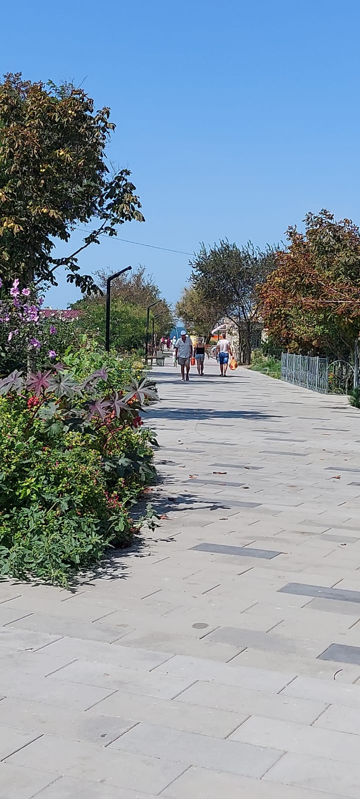 Фото Белая волна