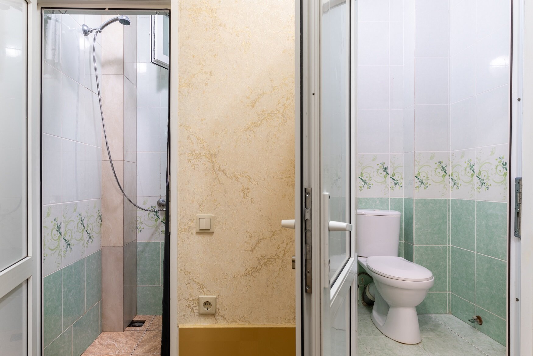 Фото Viva Камелия