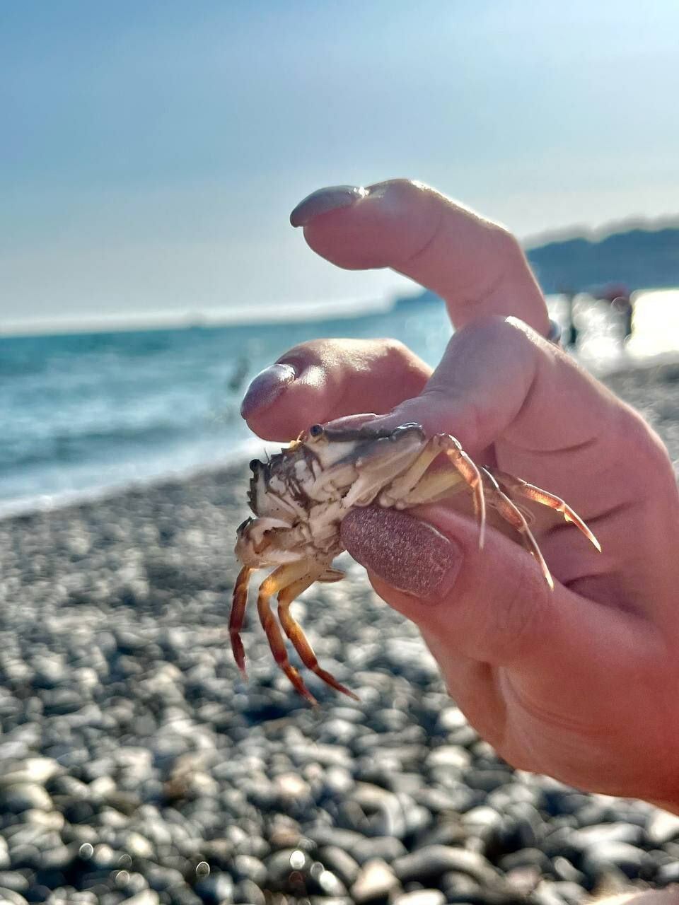 Фото Альпийский хуторок