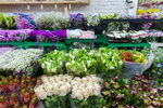 Florica (Mira Avenue, 88с1) ، محل زهور