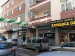Gofi (Istanbul, Pendik, Fevzi Cakmak Neighborhood, Marmara Avenue, 22B), brokerage firm