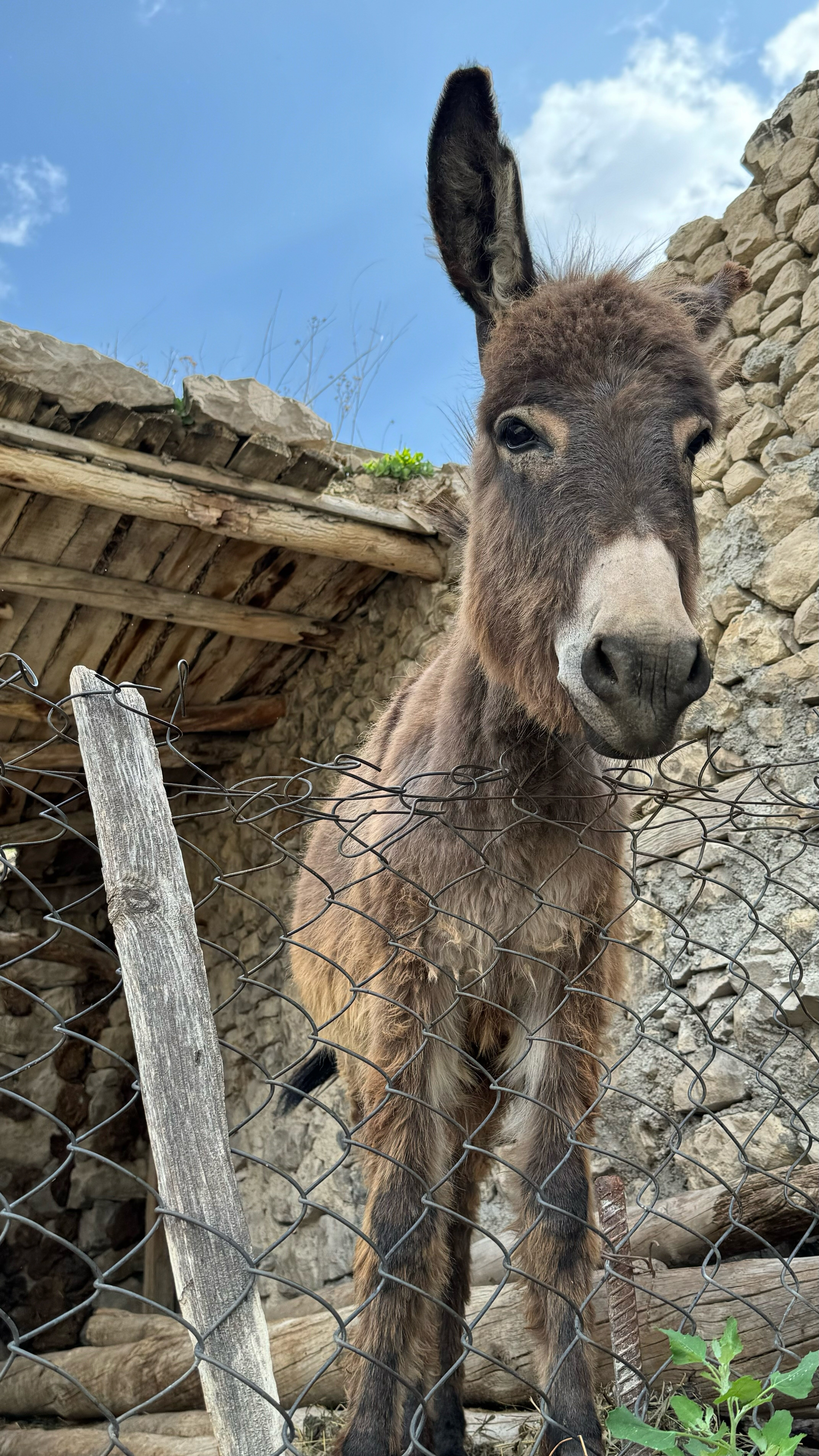 Фото МириДа