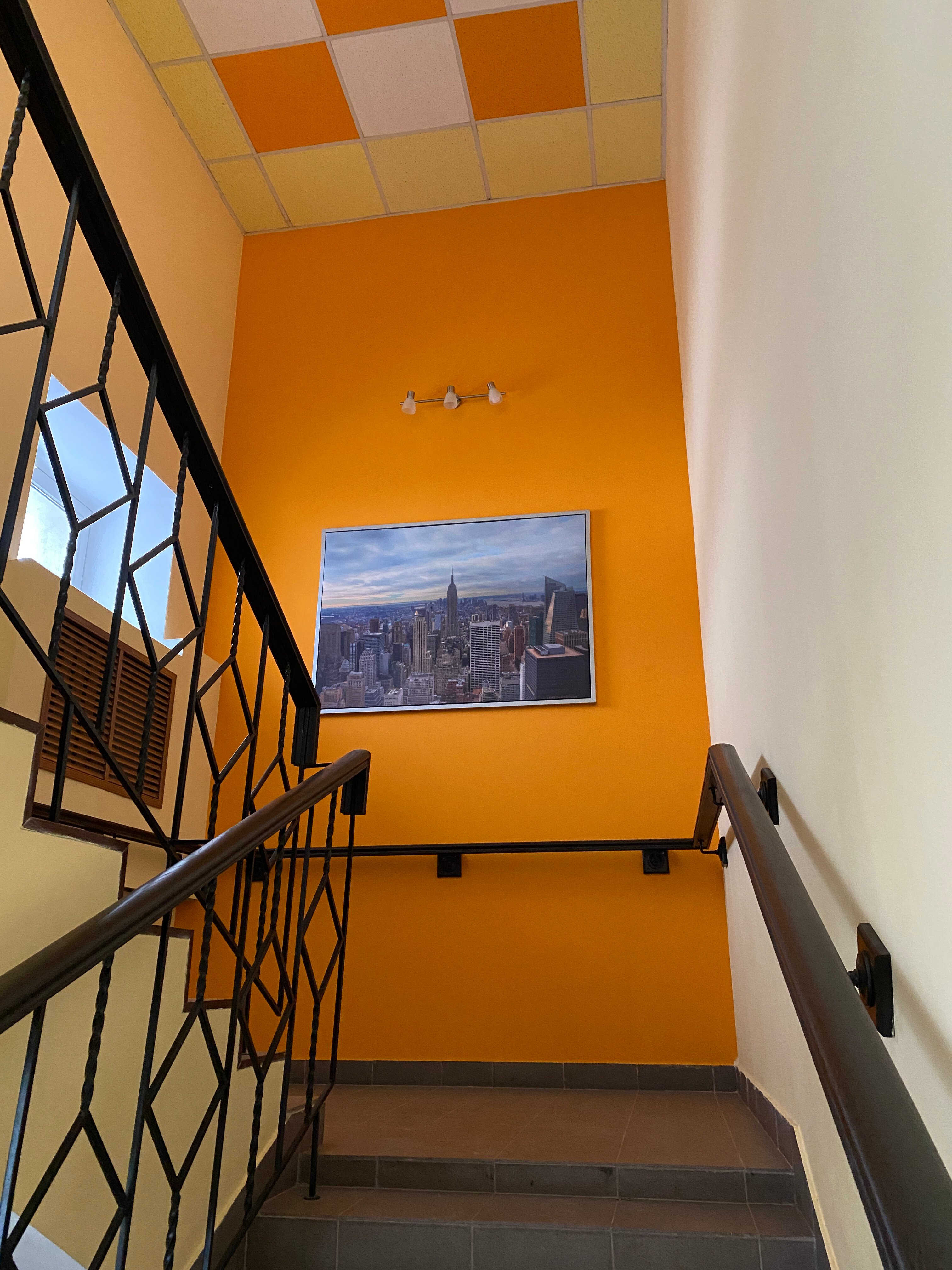 Фото Бархат