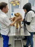 Ветеринарный кабинет Юнев-вет (Energeticheskaya Street, 12к1), veterinary clinic