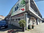 Робна кућа Панда (Belgrade County, Municipality of Stari Grad, Dorćol, Cara Dusana Street, 77) ، متجر بضائع متنوعة