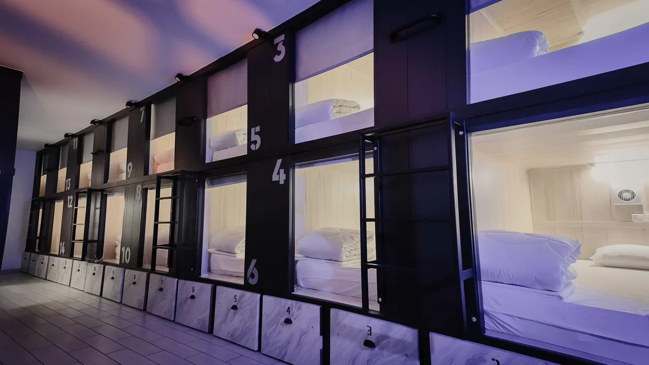 Фото Старый Лис