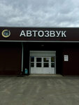 Bear (Stanke Dimitrova Avenue, 77Б) ، صوتيات السيارة