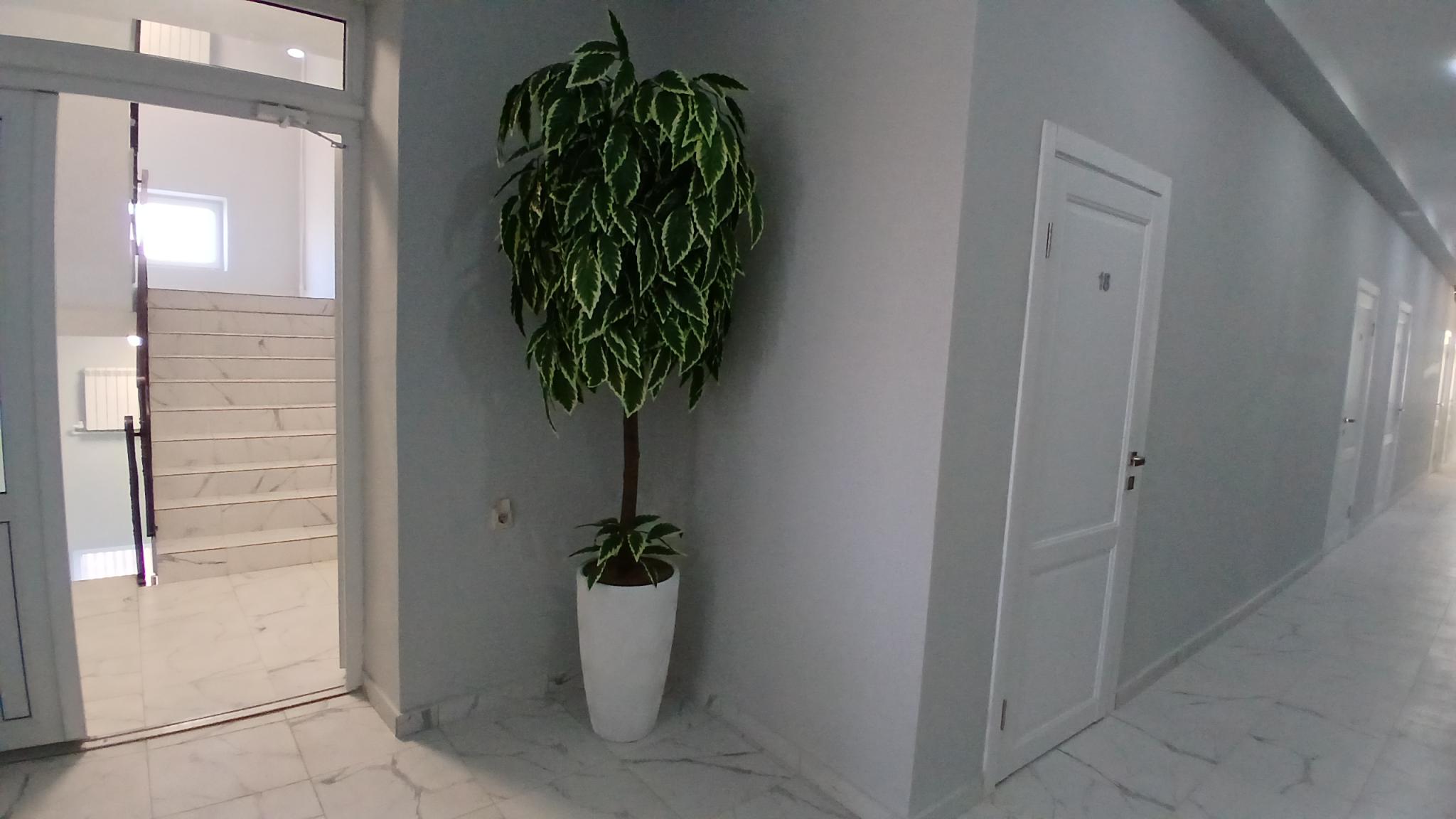 Фото Залессье