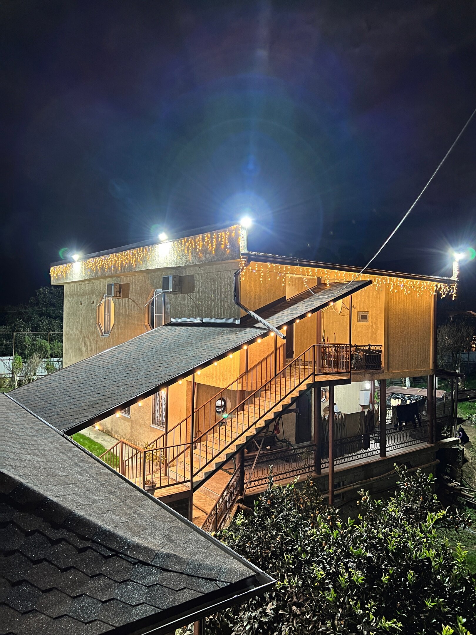 Фото Эвкалипт