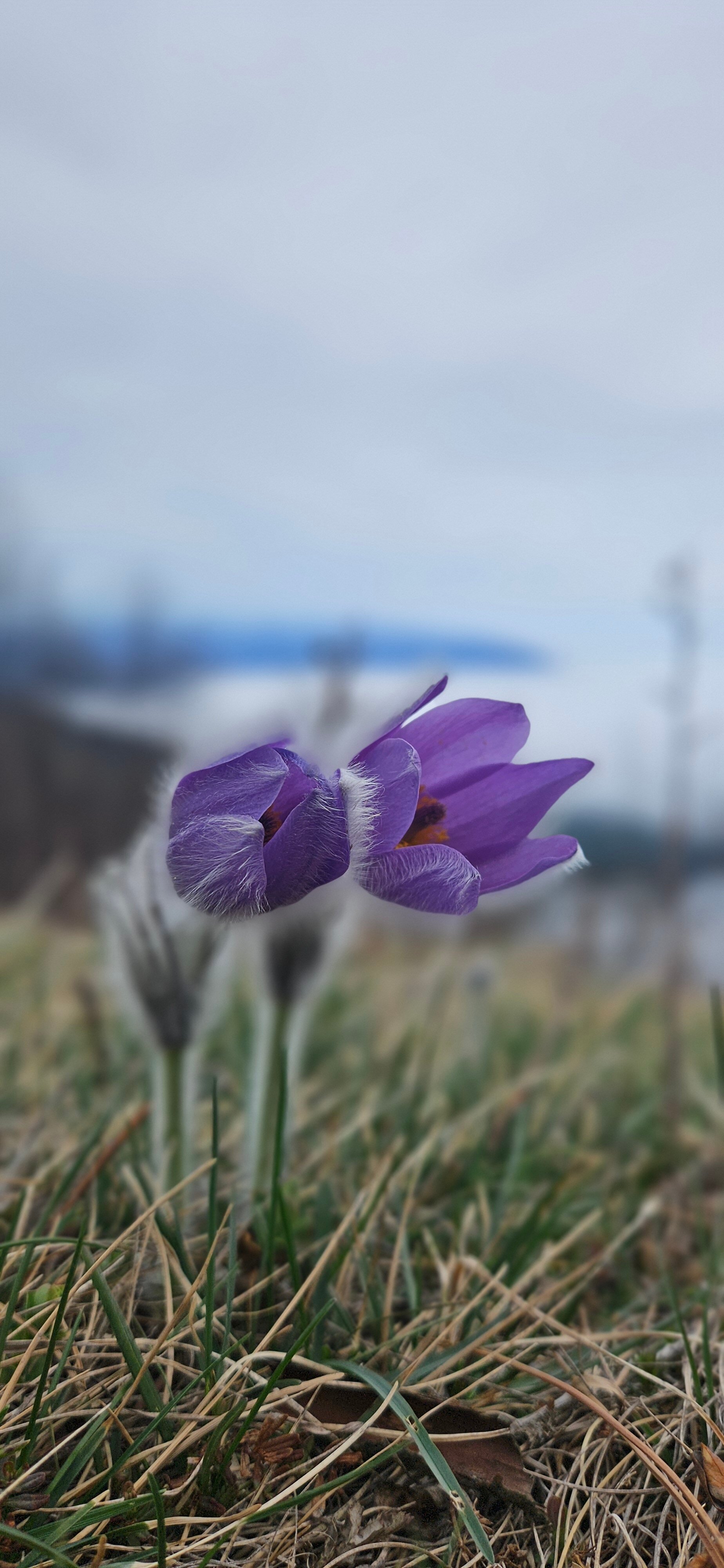 Фото Охотничий дом