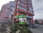 Барс (Uritskogo Street, 62), security company