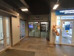 Региональная общественная организация Союз Каратэ-До (Konyonkova Street, 3), social service