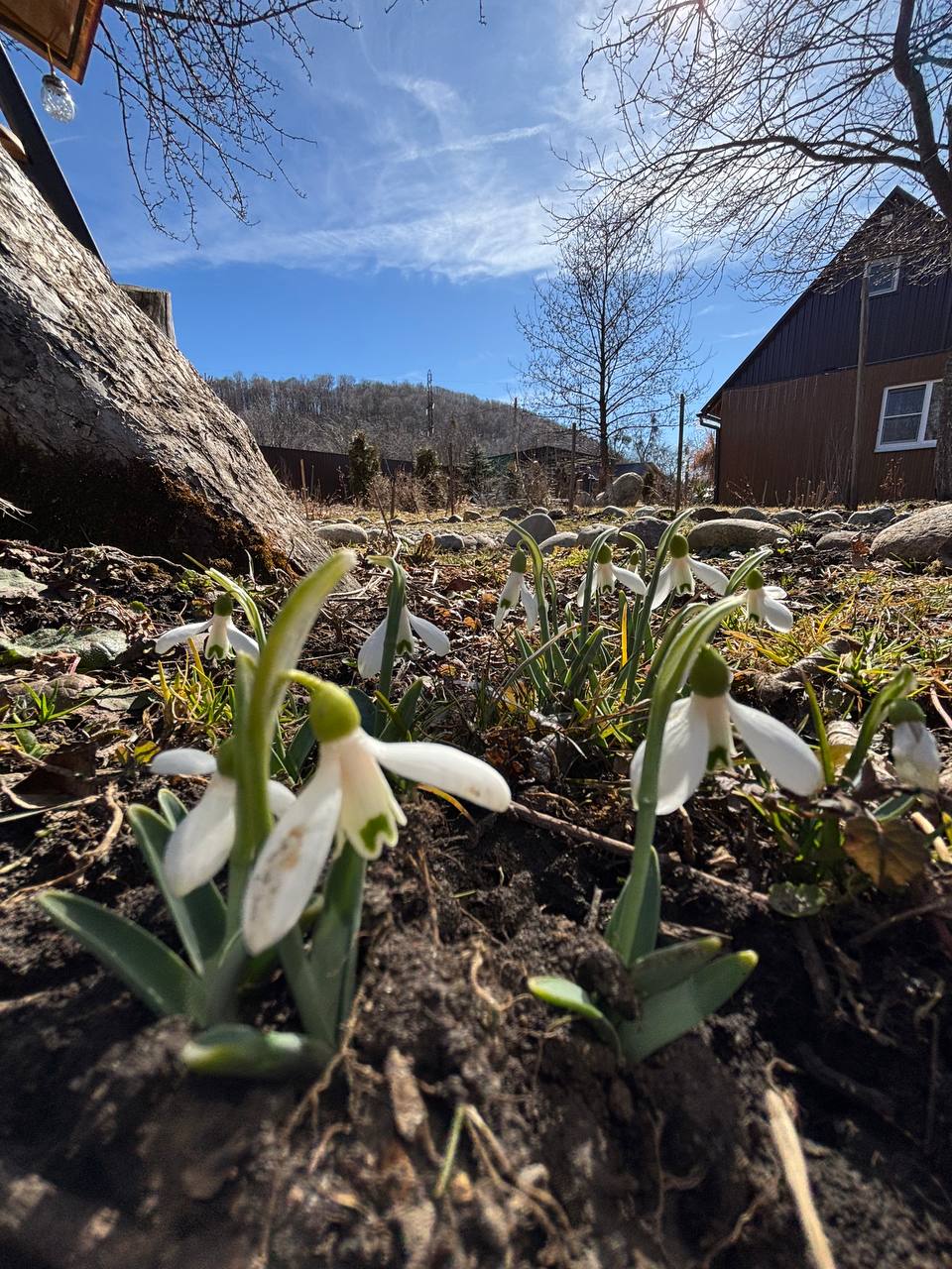 Фото Медвежий угол