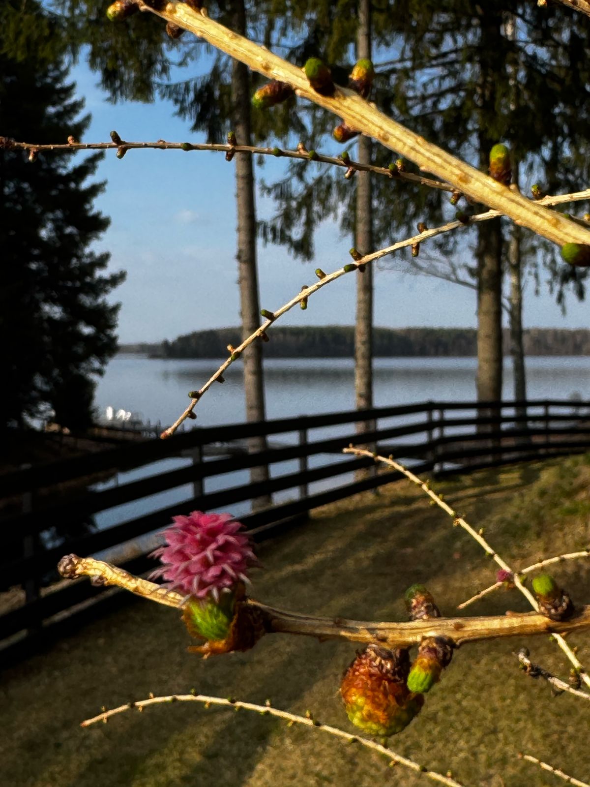 Фото Волго. Дача