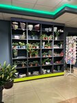 Flowers City (ulitsa Popova, 119), flower shop