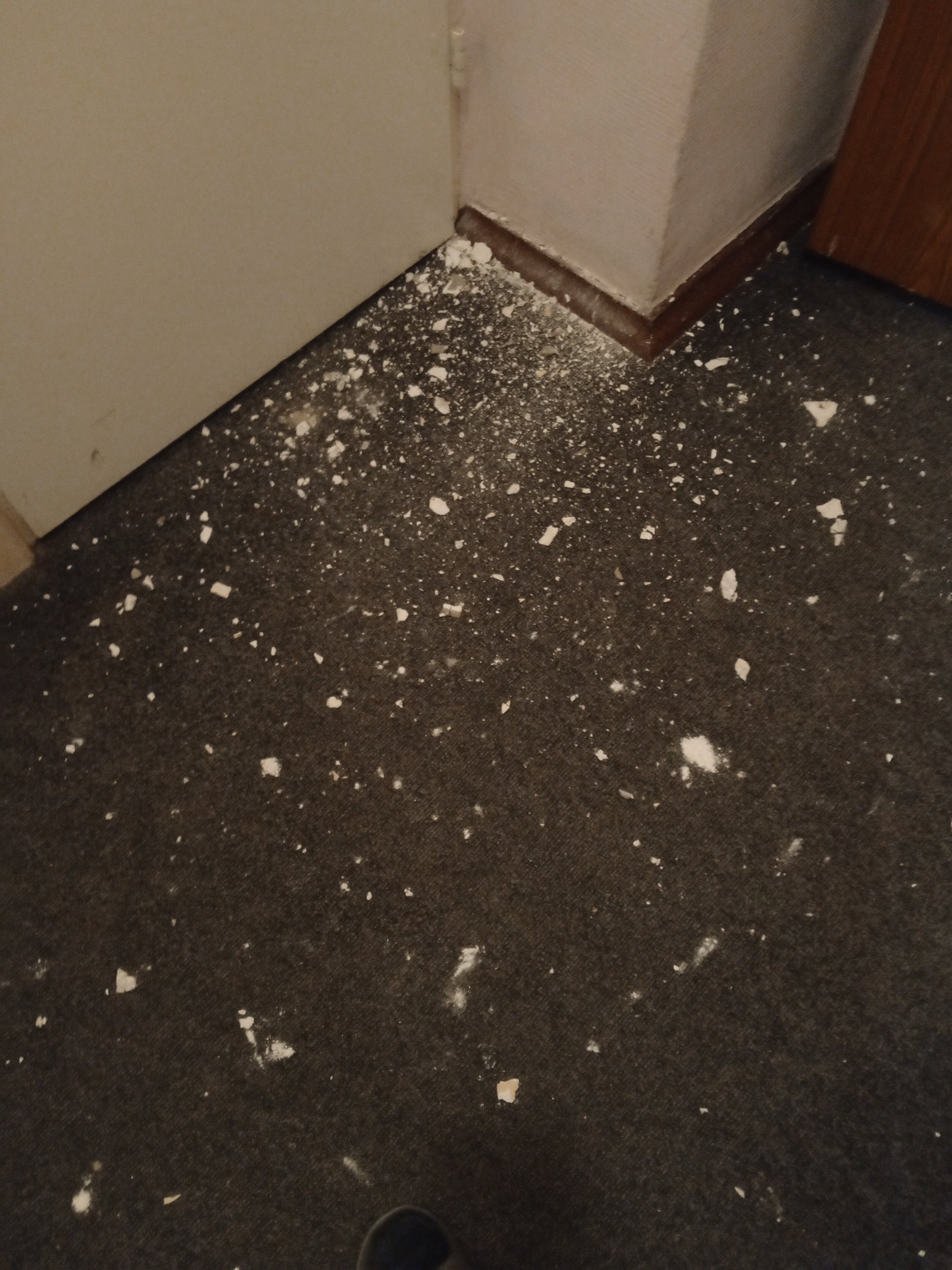 Фото Гостиница Научного центра Российской академии наук