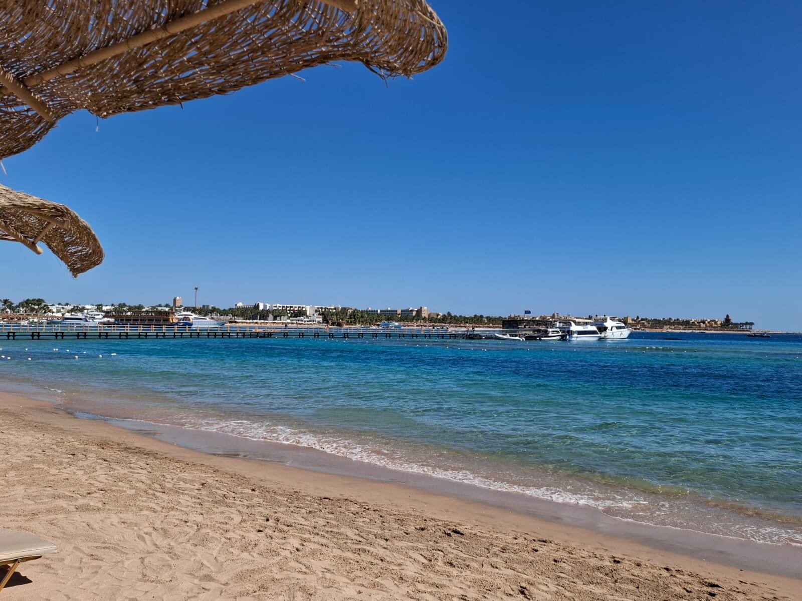 Фото Джаз Макадина