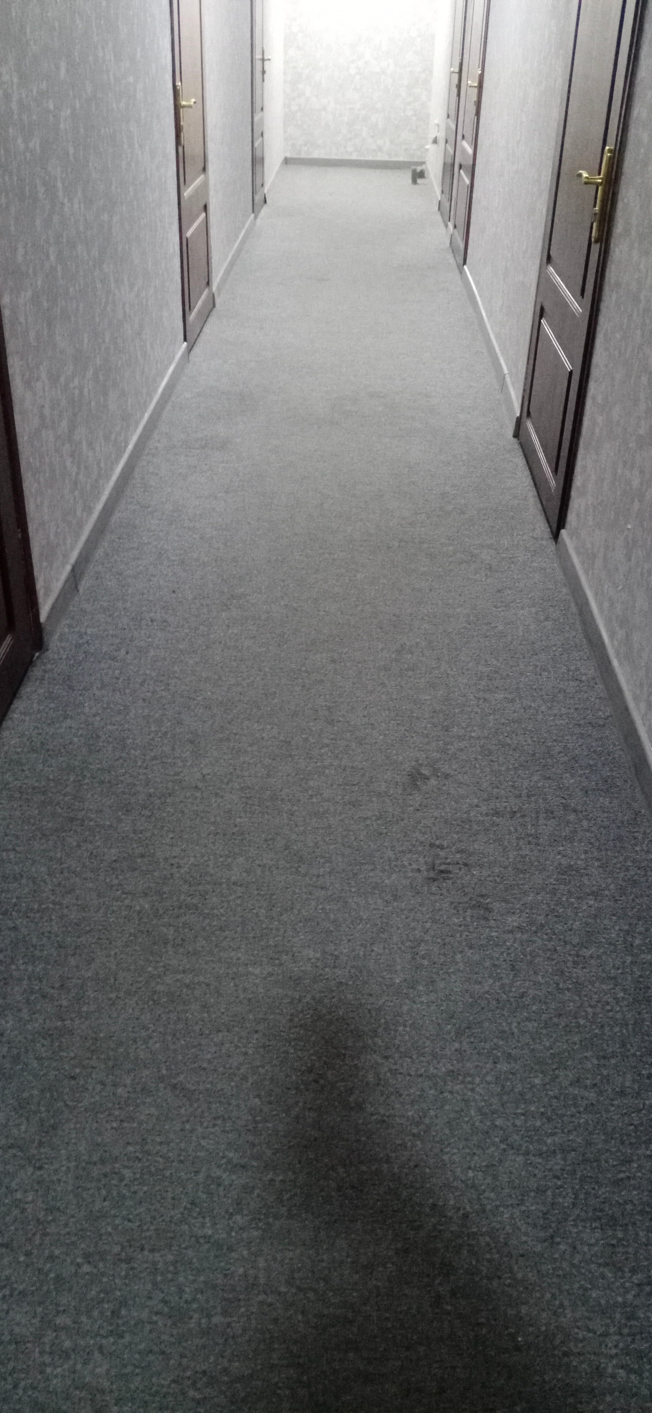 Фото White House Hotel