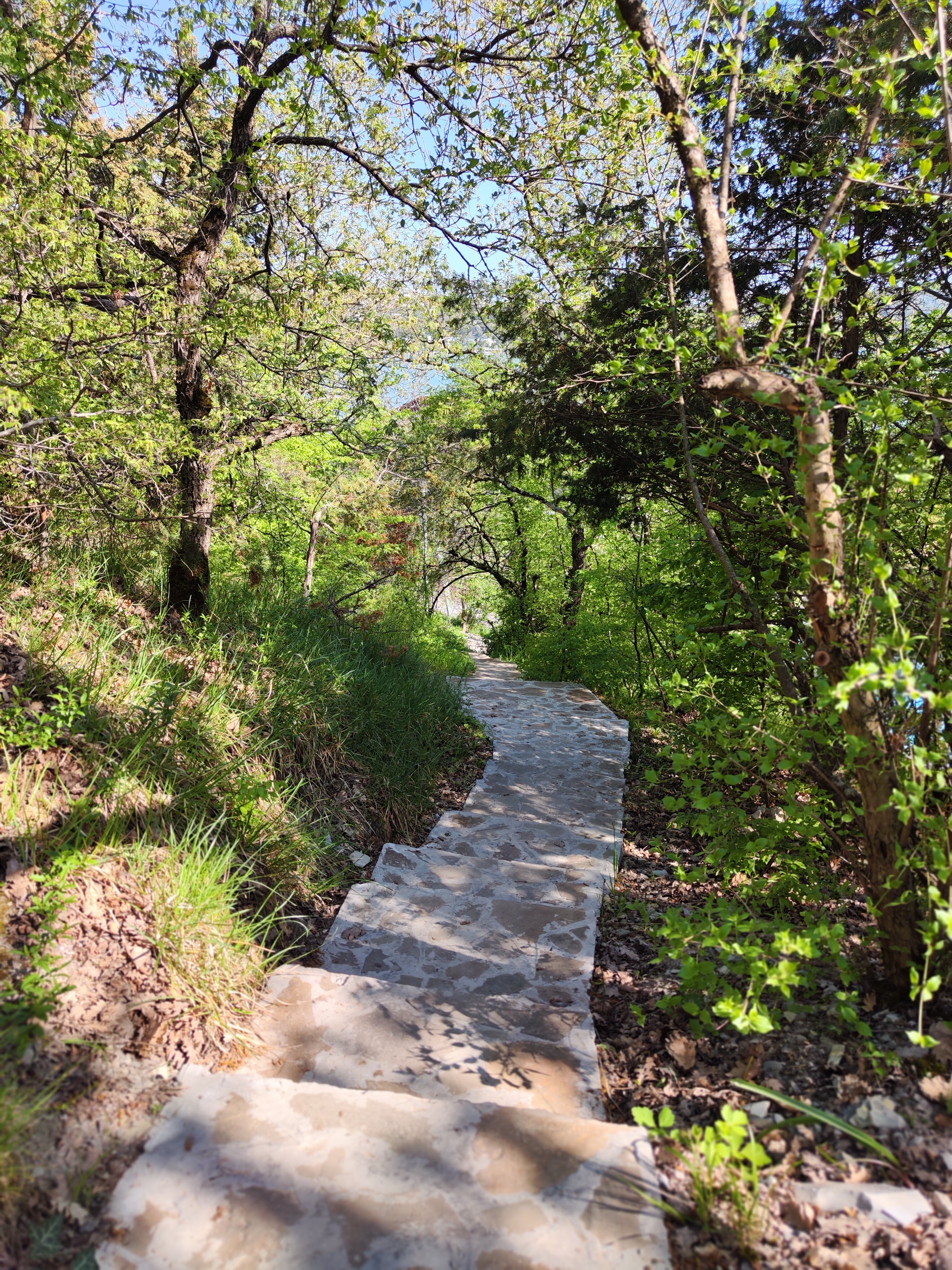 Фото Крылья