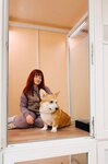 Юг (проспект Победы, 211К), pet hotel