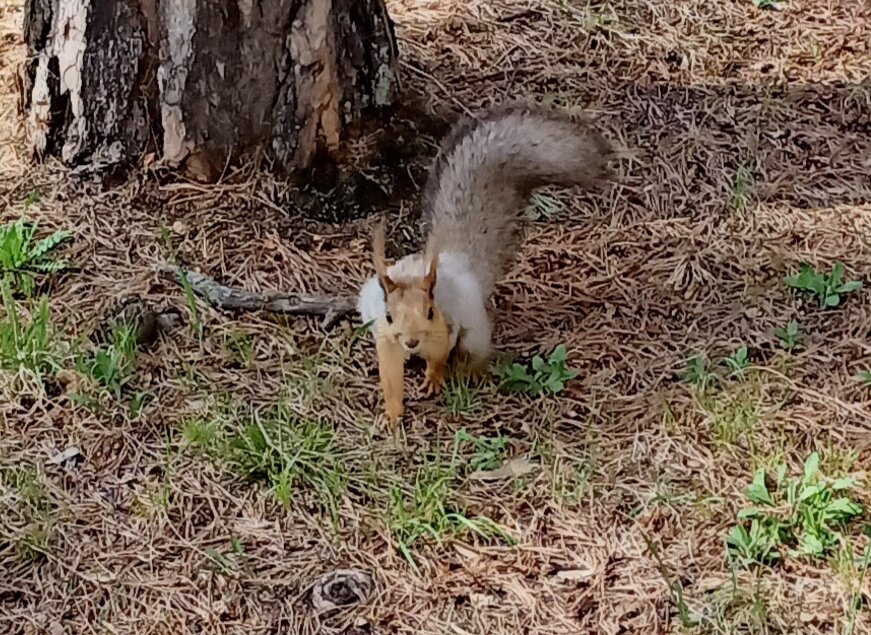 Фото Марсель