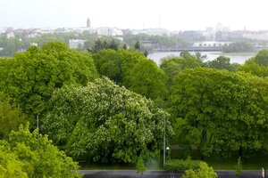 Гостиница Scandic Park