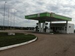 Колибри (Republic of Bashkortostan, Aurgazinskiy rayon, Bishkainskiy selsovet, selo Bishkain), gasolinera