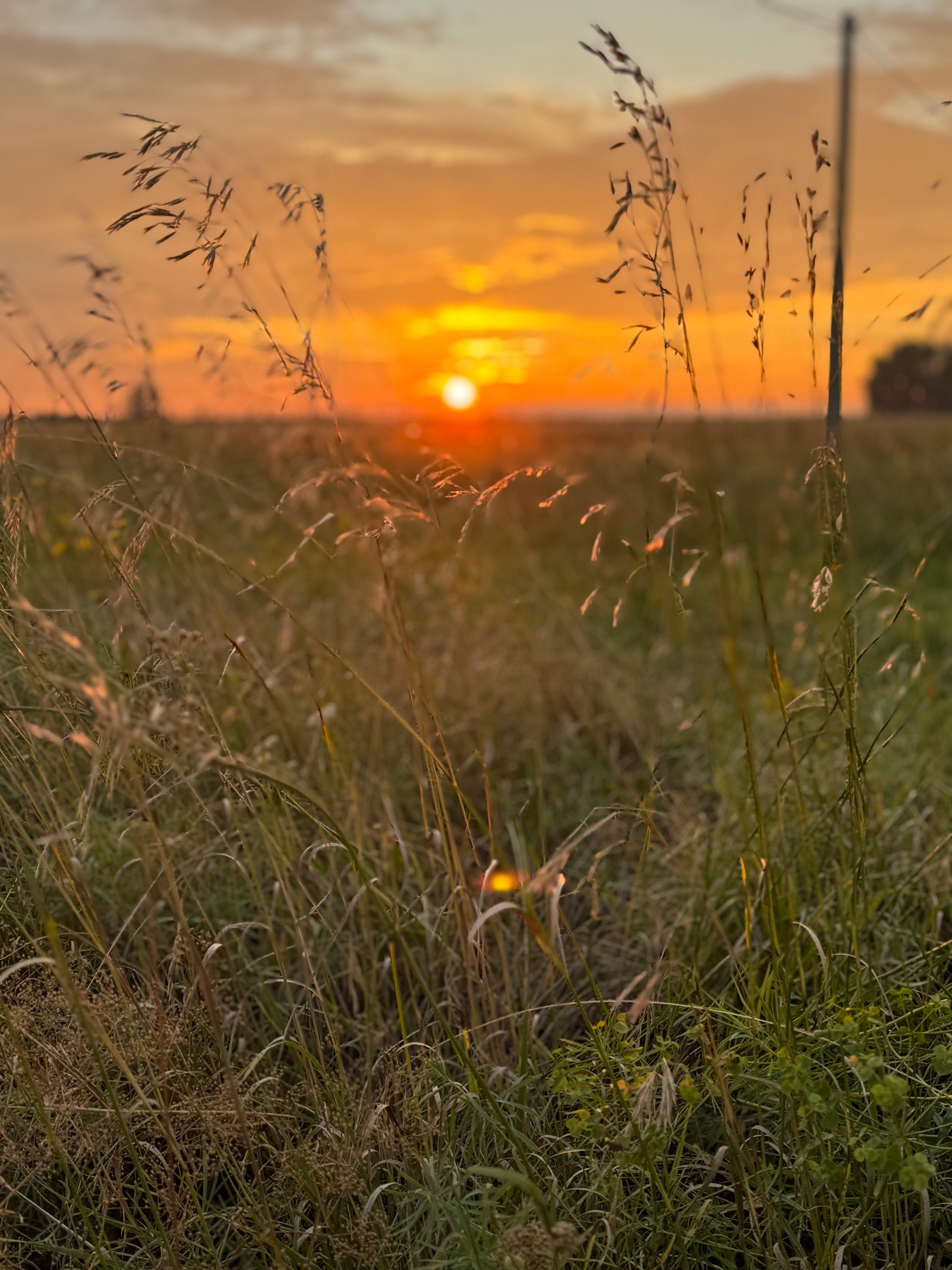 Фото Красная Круча