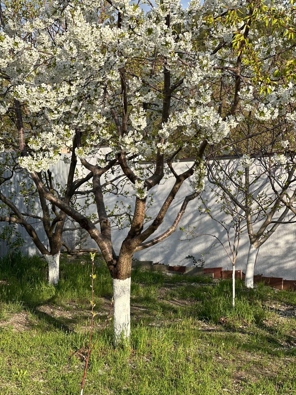 Фото Частный дом Терра