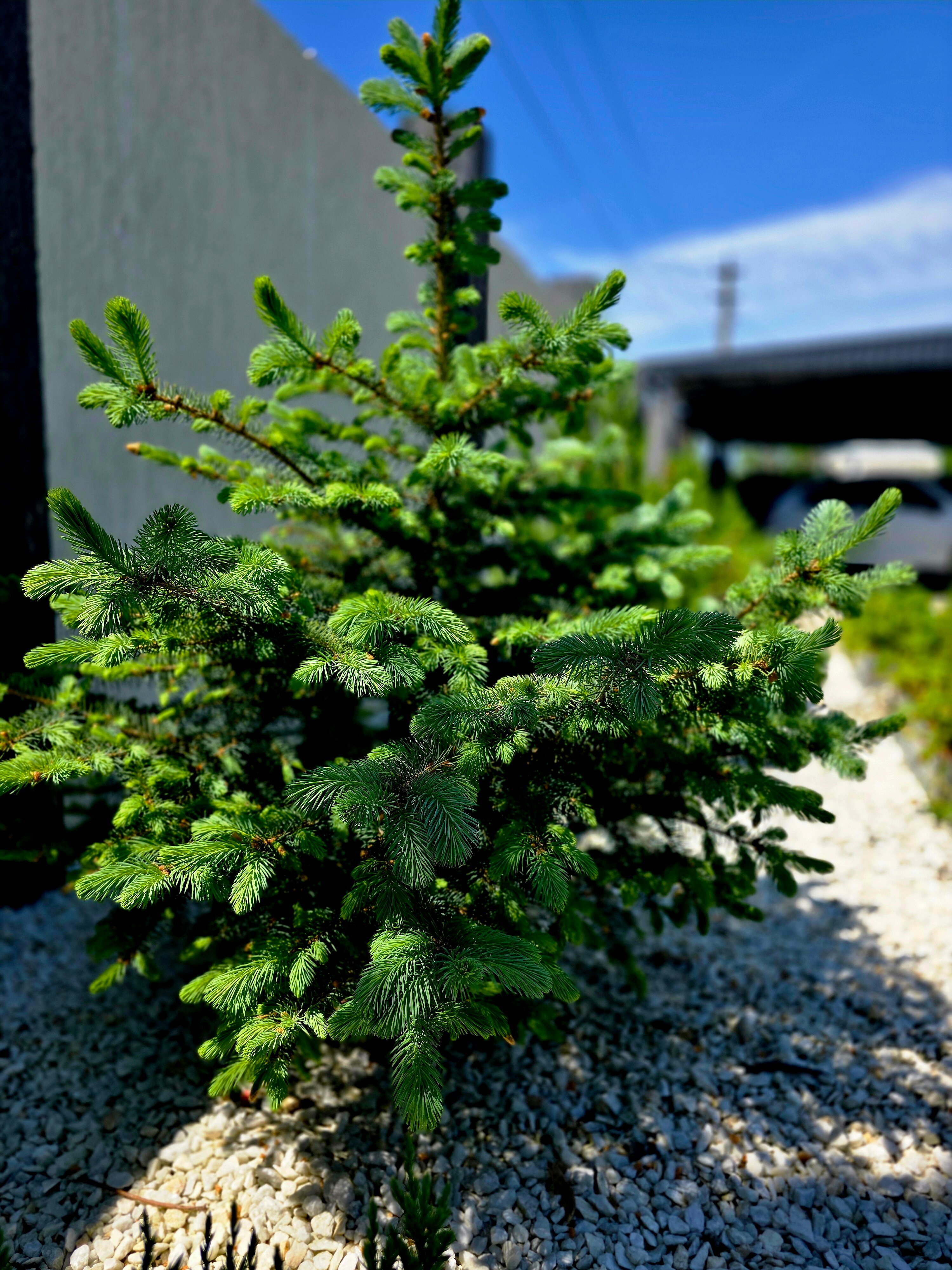 Фото Дом у моря