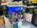 Sovremenny Akvarium (Akademika Trubilina Street, 148), pet shop