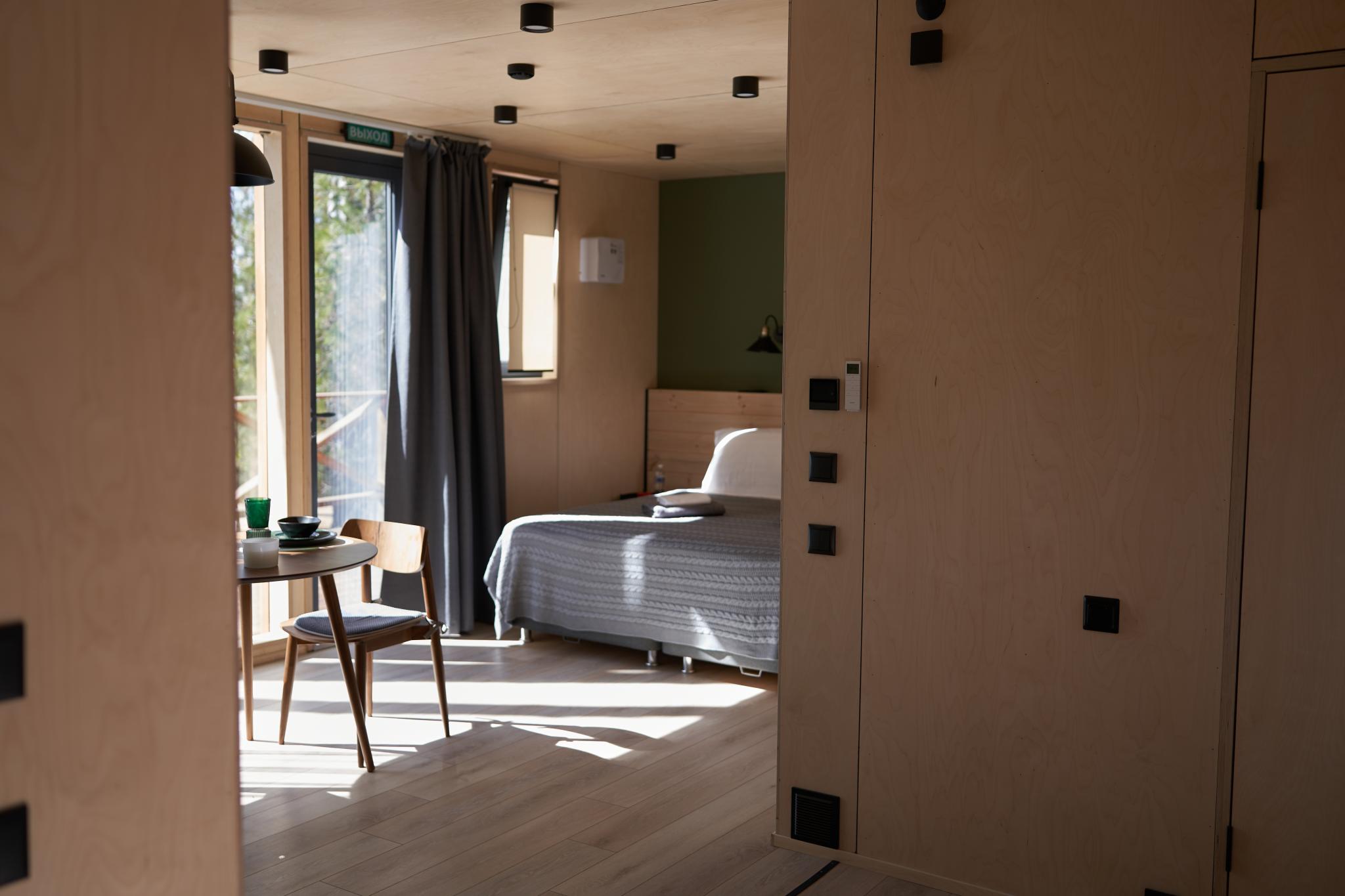 Фото Снежные Гуси