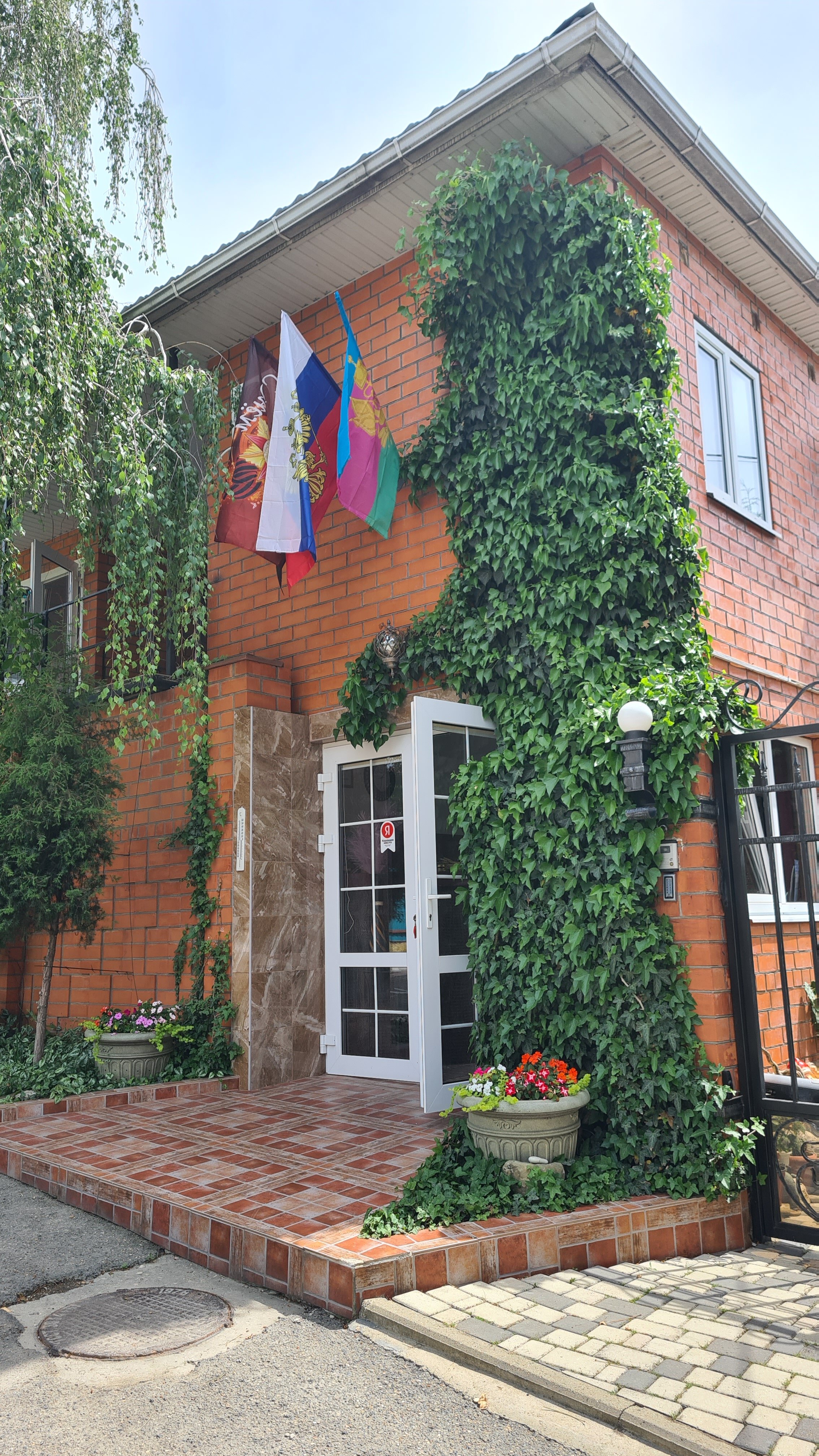 Фото Березы