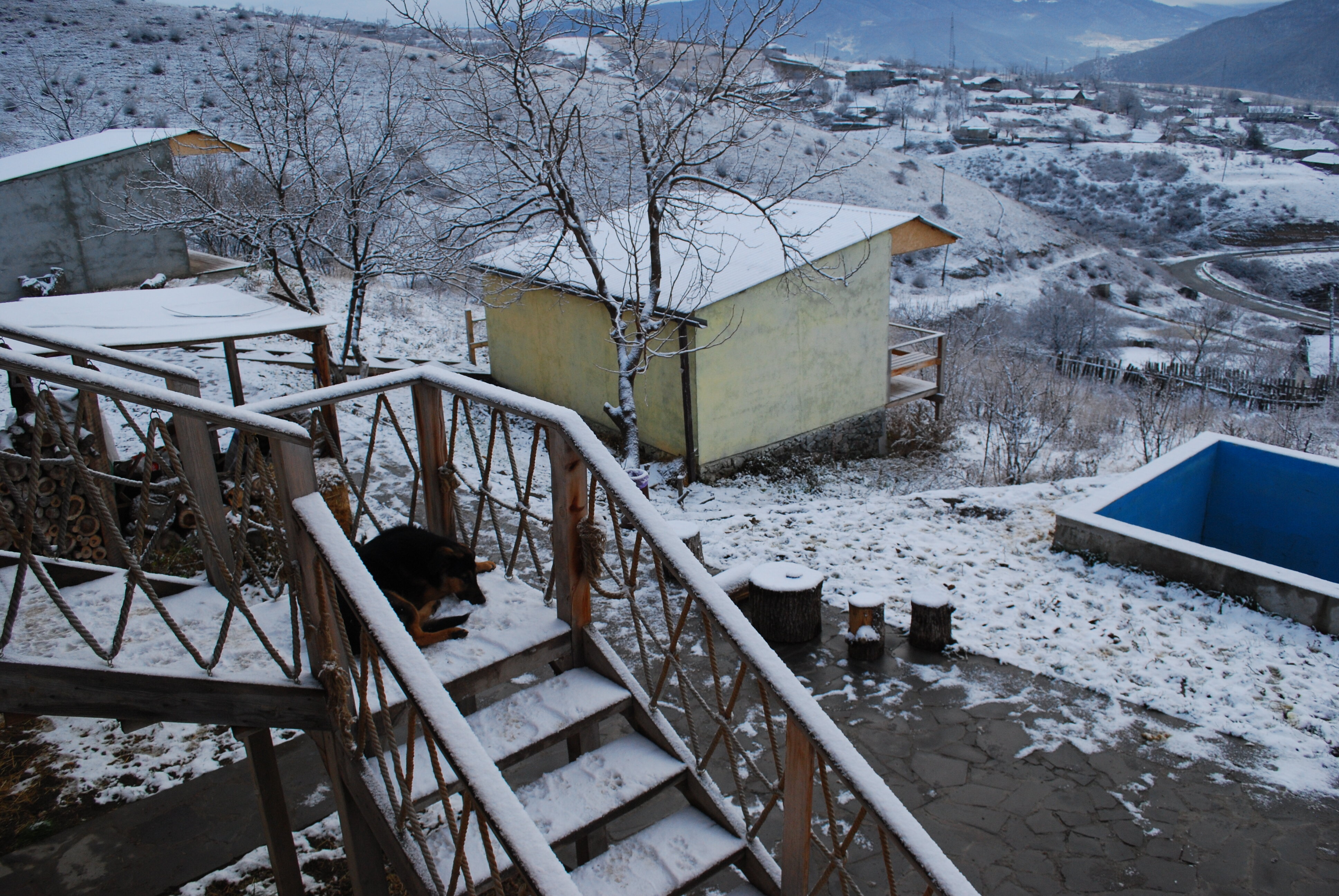 Фото Гостевой дом Кипарис